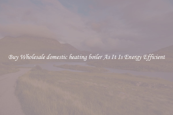 Buy Wholesale domestic heating boiler As It Is Energy Efficient