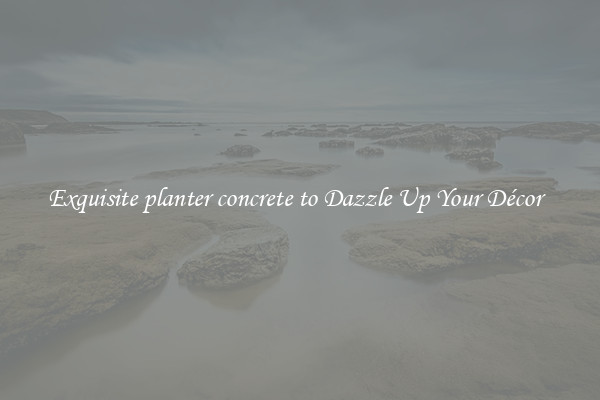 Exquisite planter concrete to Dazzle Up Your Décor  