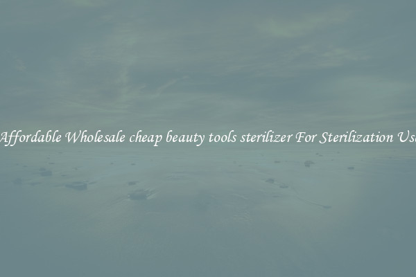 Affordable Wholesale cheap beauty tools sterilizer For Sterilization Use