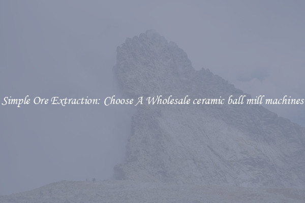 Simple Ore Extraction: Choose A Wholesale ceramic ball mill machines