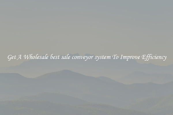 Get A Wholesale best sale conveyor system To Improve Efficiency