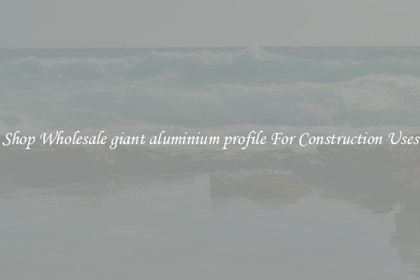 Shop Wholesale giant aluminium profile For Construction Uses