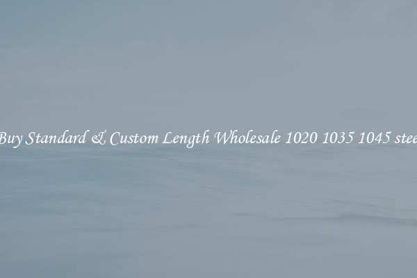 Buy Standard & Custom Length Wholesale 1020 1035 1045 steel