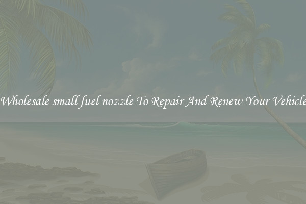 Wholesale small fuel nozzle To Repair And Renew Your Vehicle