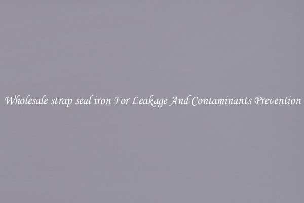 Wholesale strap seal iron For Leakage And Contaminants Prevention