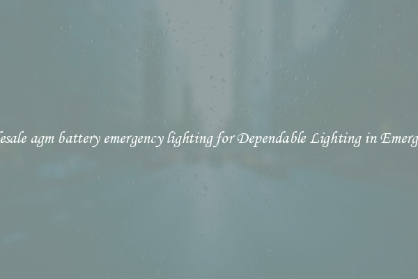 Wholesale agm battery emergency lighting for Dependable Lighting in Emergencies