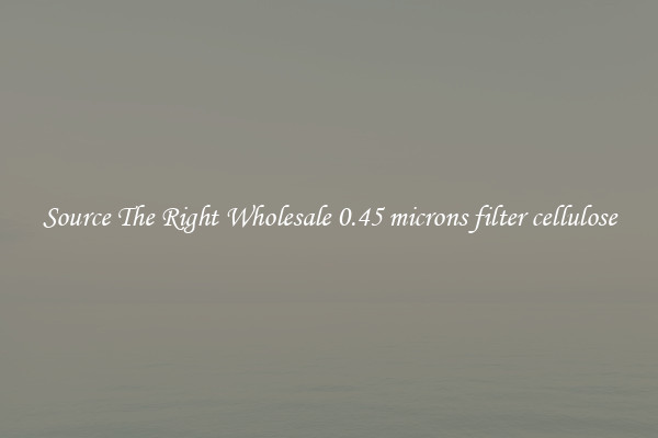 Source The Right Wholesale 0.45 microns filter cellulose