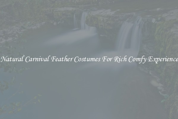 Natural Carnival Feather Costumes For Rich Comfy Experience