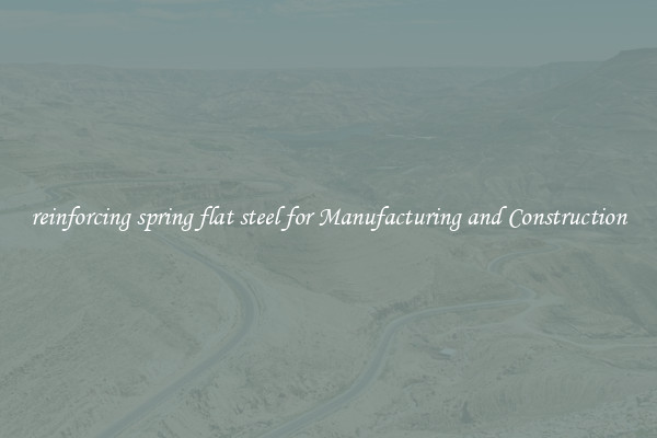 reinforcing spring flat steel for Manufacturing and Construction