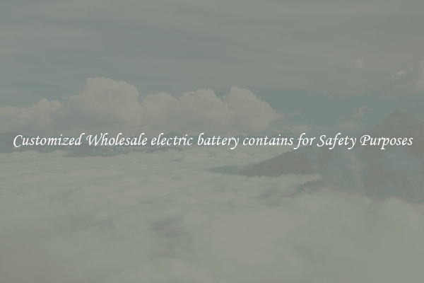 Customized Wholesale electric battery contains for Safety Purposes
