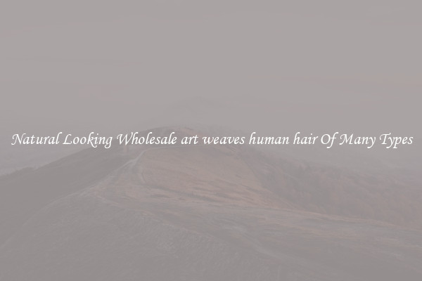 Natural Looking Wholesale art weaves human hair Of Many Types